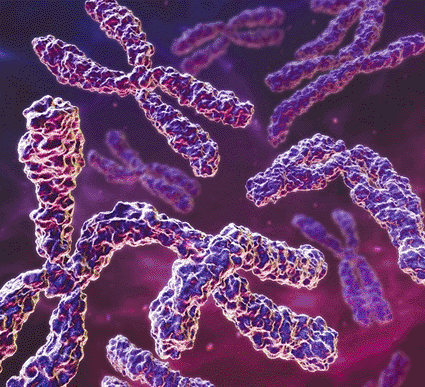 Image: Computer artwork of a chromosomal aberration, with the chromosome at left showing an extra portion of chromatid attached to it - shown at lower center (photo courtesy of Hybrid Medical Animation).